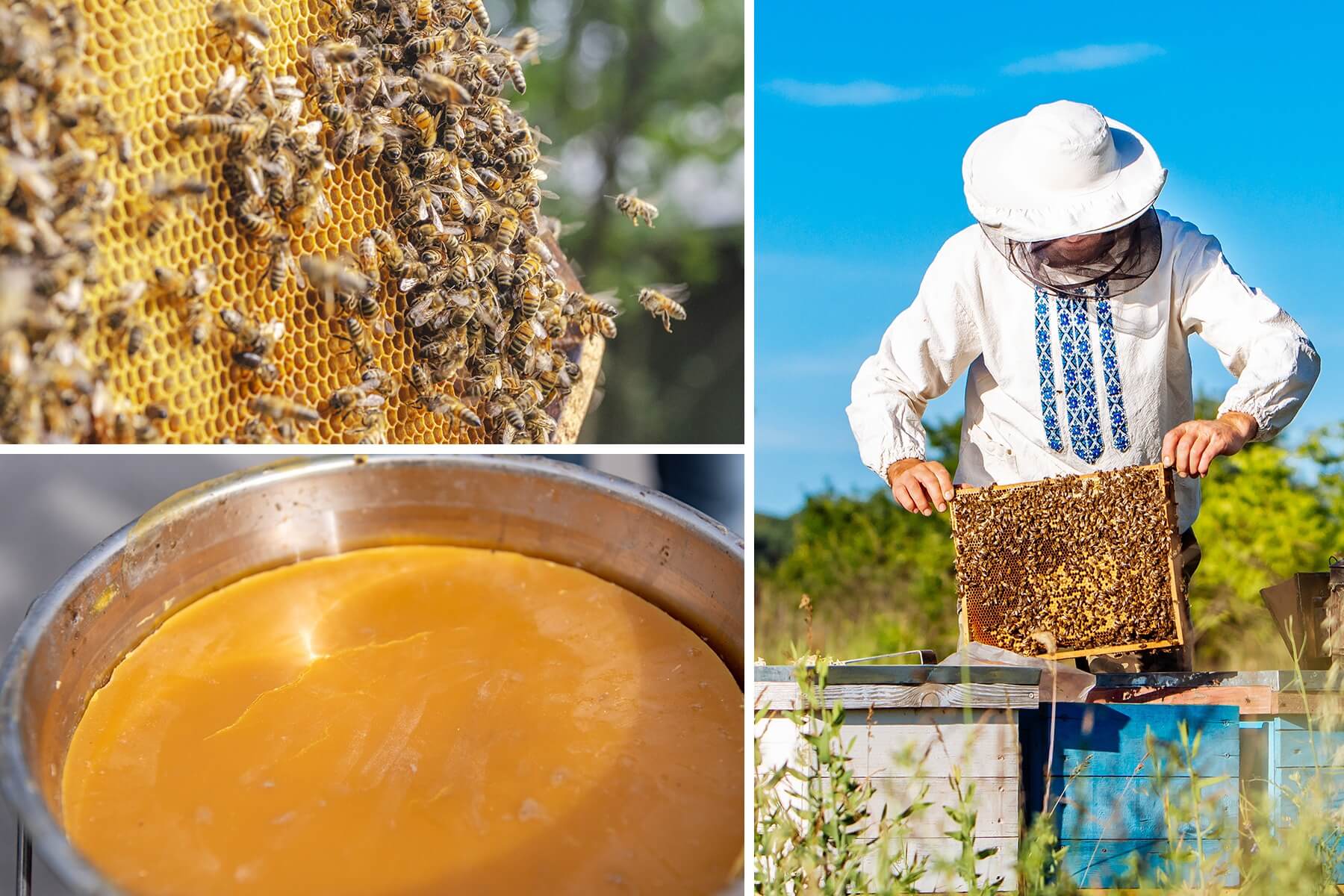 El poder de la cera de abejas